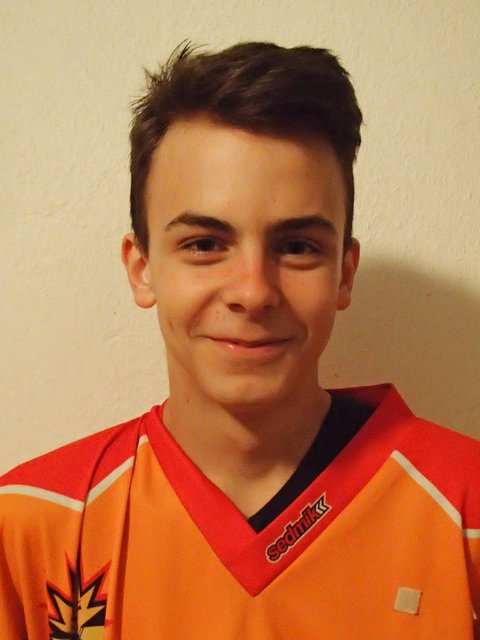David Růžička